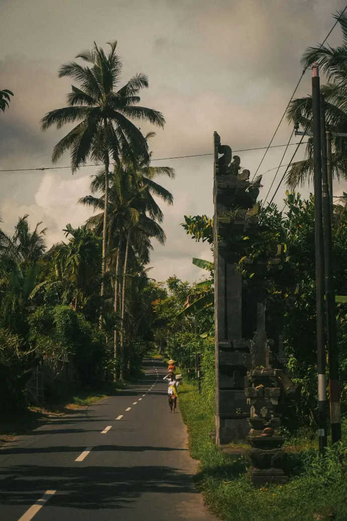Road with palmtrees