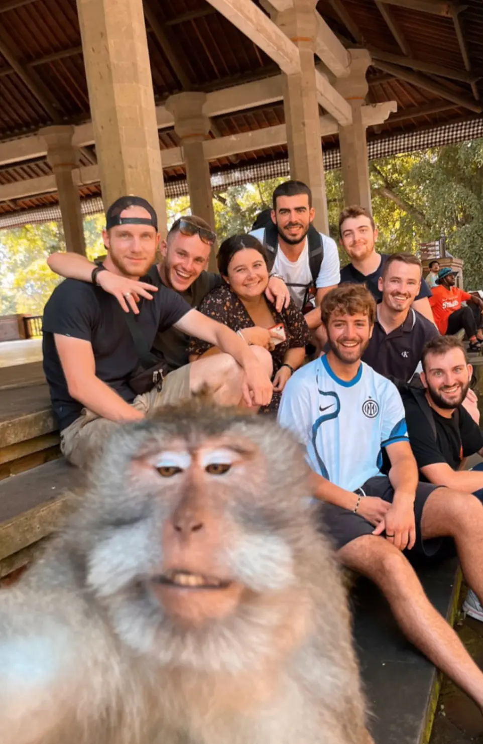 monkey selfie